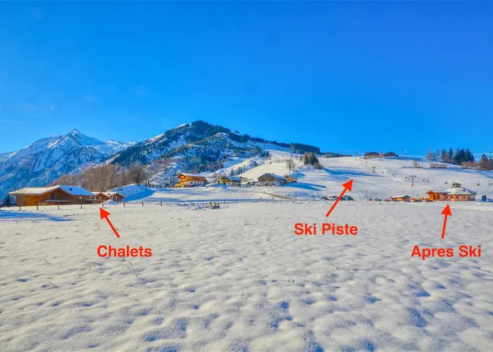 Ski-In Ski-Out Chalet Maiskogel 17A - By Alpen Apartments